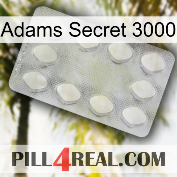 Adams Secret 3000 16.jpg